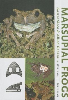 Marsupial Frogs - Duellman, William