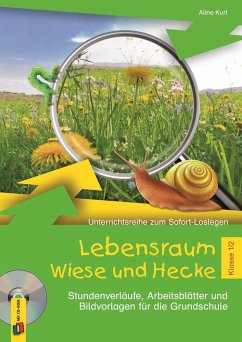 Lebensraum Wiese und Hecke - Klasse 1/2 - Kurt, Aline