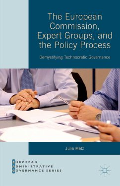 The European Commission, Expert Groups, and the Policy Process - Metz, Julia