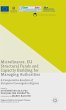 Microfinance, EU Structural Funds and... - Bild 1