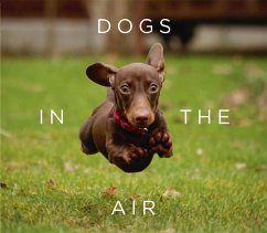 Dogs in the Air - Bradley, Jack