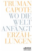 Wo die Welt anfängt (eBook, ePUB)