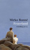 Feuerland (eBook, ePUB)