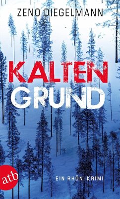 Kaltengrund / Kommissar Seeberg Bd.3 (eBook, ePUB) - Diegelmann, Zeno