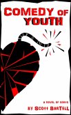 Comedy of Youth (eBook, ePUB) Comedy of Youth (eBook, ePUB)
