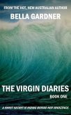 Virgin Diaries (eBook, ePUB)