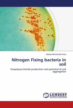 Nitrogen Fixing bacteria in soil - Ahmed Abo Kora, Hanaa