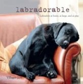 Labradorable Labradorable