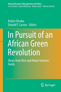 In Pursuit of an African Green Revolution