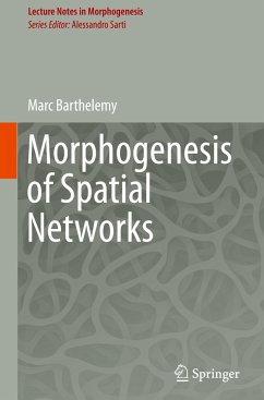 Morphogenesis of Spatial Networks - Barthelemy, Marc