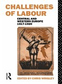 Challenges of Labour (eBook, ePUB)