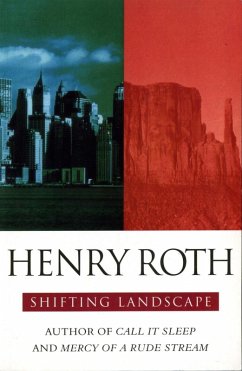 Shifting Landscapes (eBook, ePUB) - Roth, Henry