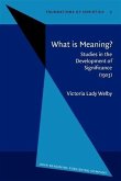 What is Meaning? (eBook, PDF)