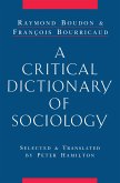 A Critical Dictionary of Sociology (eBook, PDF)