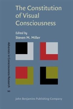 Cover Constitution of Visual Consciousness (eBook, PDF)
