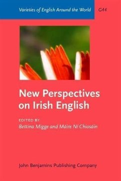 Cover New Perspectives on Irish English (eBook, PDF)