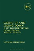 Going Up and Going Down (eBook, PDF)