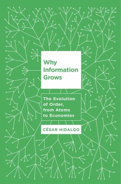 Why Information Grows (eBook, ePUB) - Hidalgo, Cesar