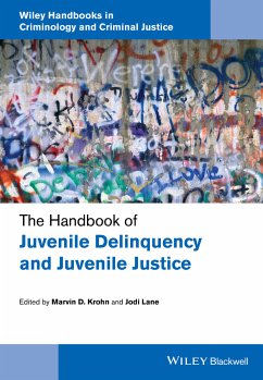 The Handbook of Juvenile Delinquency and Juvenile Justice (eBook, ePUB)