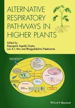 Cover Alternative Respiratory Pathways in Higher Plants (eBook, PDF)