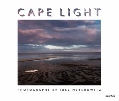 Joel Meyerowitz: Cape Light - Meyerowitz, Joel