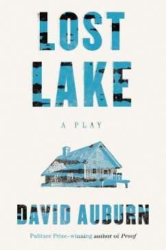 Lost Lake (eBook, ePUB) - Auburn, David