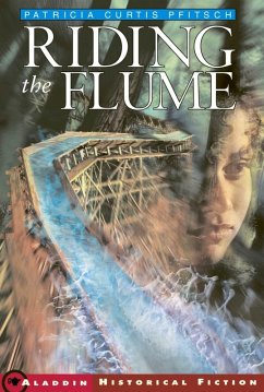 Riding the Flume (eBook, ePUB) - Pfitsch, Patricia Curtis