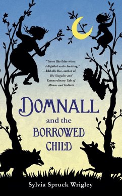 Cover Domnall and the Borrowed Child (eBook, ePUB)