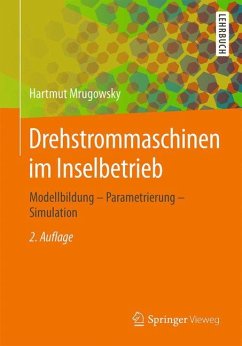 Drehstrommaschinen im Inselbetrieb - Mrugowsky, Hartmut