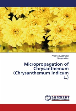 Micropropagation of Chrysanthemum (Chrysanthemum Indicum L.)