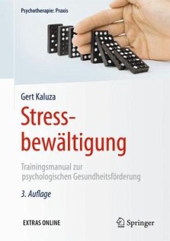 Stressbewältigung - Kaluza, Gert