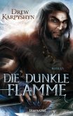 Die dunkle Flamme / Chaosbrut Bd.2 (eBook, ePUB)