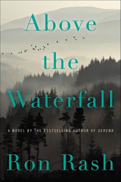 Cover Above the Waterfall (eBook, ePUB)