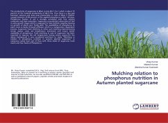 Mulching relation to phosphorus nutrition in Autumn planted sugarcane - Kumar, Vinay;Kumar, Mukesh;Kushwah, Jitendra Kumar