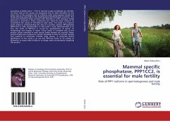 Mammal specific phosphatase, PPP1CC2, is essential for male fertility
