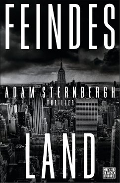 Feindesland (eBook, ePUB) - Sternbergh, Adam