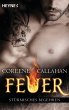 Stürmisches Begehren / Feuer Bd.5... - Bild 1