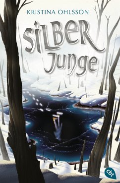 Silberjunge / Glaskinder Bd.2 (eBook, ePUB) - Ohlsson, Kristina