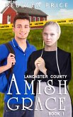 Lancaster County Amish Grace (Lancaster County Amish Grace Series, #1) (eBook, ePUB)