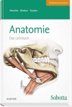 Sobotta Anatomie