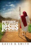 Pictures of Jesus: In the Stories He Told