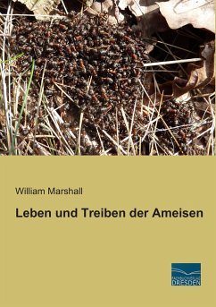 Leben und Treiben der Ameisen - Marshall, William