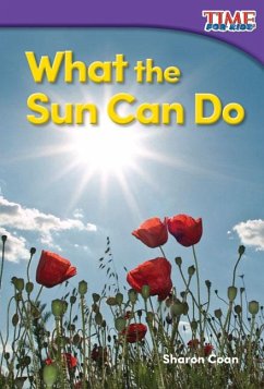 What the Sun Can Do - Coan, Sharon