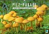 Pilz-Parade - Pilze von köstlich bis tödlich (Wandkalender 2016 DIN A2 quer) - CALVENDO