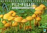 Pilz-Parade - Pilze von köstlich bis tödlich (Tischkalender 2016 DIN A5 quer) - CALVENDO