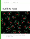 Budding Yeast Budding Yeast