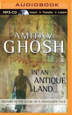 In an Antique Land: History in the Guise of a Traveler's Tale - Ghosh, Amitav
