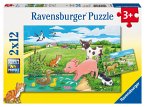 Ravensburger 07582 - Tierkinder auf dem Land, 2x12 Teile Puzzle