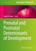 Prenatal and Postnatal Determinants of Development