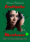 Erotische Abenteuer 1 (eBook, PDF)